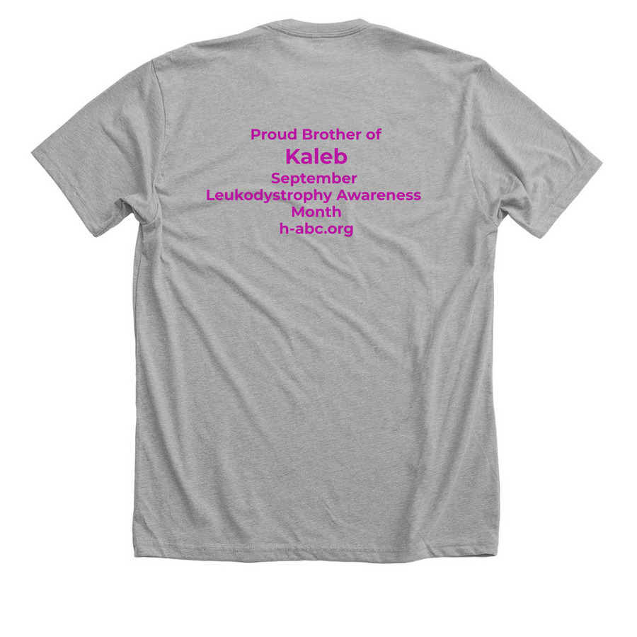 Foundation to Fight H-ABC Store, a Athletic Heather Premium Unisex Tee (back-view)
