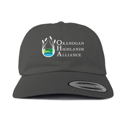 OHA's Hat Shop, a Dark Gray Printed Classic Baseball Cap