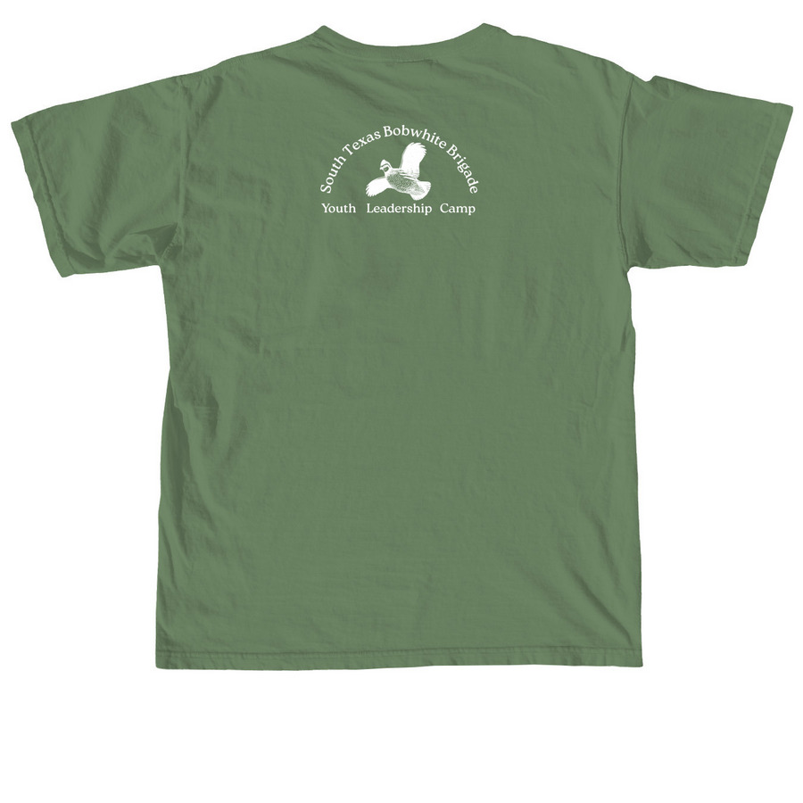 STBB Scaled Quail, a Hemp Comfort Colors Unisex Tee (back-view)