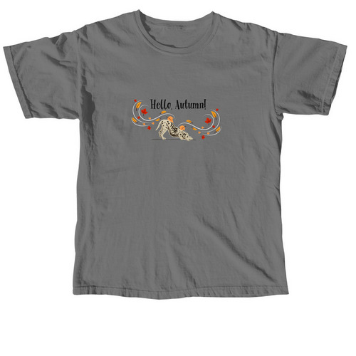 DCNC Hello, Autumn! fundraiser, a Grey Comfort Colors Unisex Tee