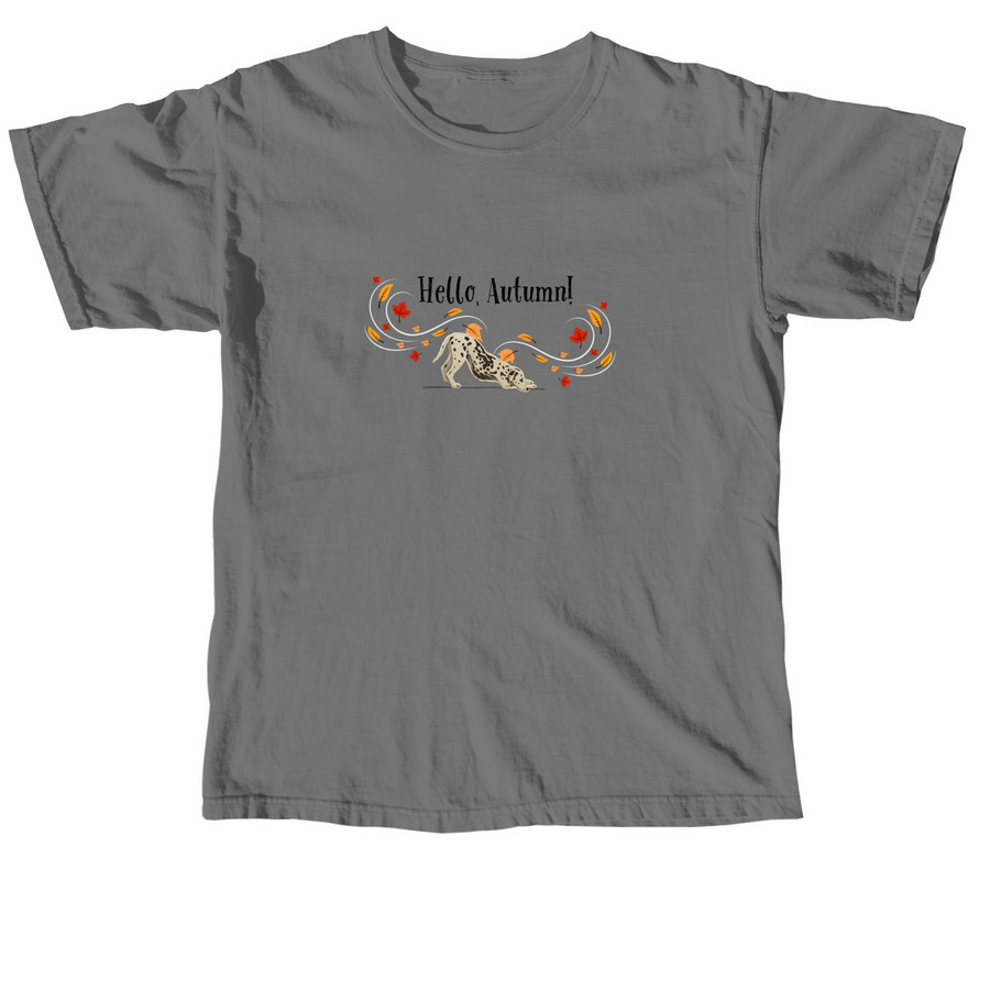 DCNC Hello, Autumn! fundraiser, a Grey Comfort Colors Unisex Tee