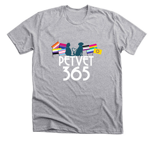 CVG 2025 Pride Shirts, a Athletic Heather Premium Unisex Tee