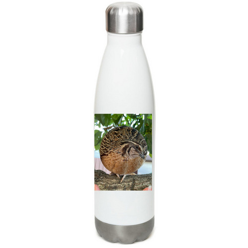 FattyTheQuail&nbsp;, a White Stainless Steel Water Bottle