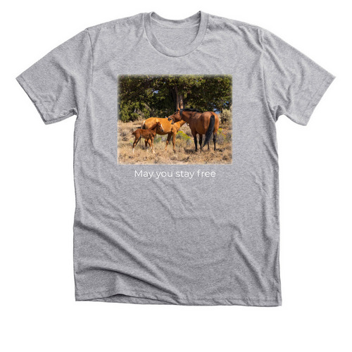 Oregon Wild Horse Family, a Athletic Heather Premium Unisex Tee