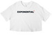 All Season Light Tops, a White Women?s Cropped Cotton Tee