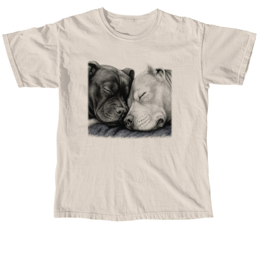 END DISCRIMINATION - SALLY & TODD, a Ivory Comfort Colors Unisex Tee