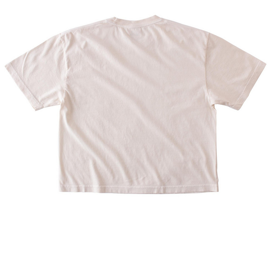 Quilty Homeschool Mom, a Ivory Comfort Colors Boxy Tee (back-view)