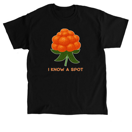 Aqpik - I Know a Spot, a Black Classic Unisex Tee