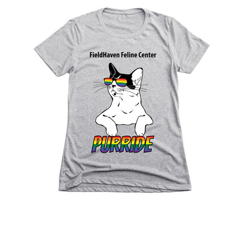 Celebrate PURRIDE! (shirt #2), a Dark Heather Grey Women's Slim Fit Tee