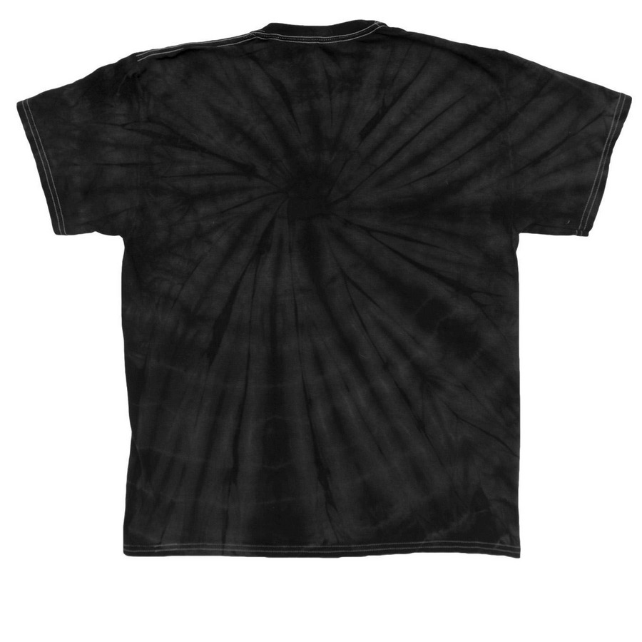 PHGS 100 Years Adult Tie Dye T-shirt, a Black Classic Tie Dye Tee (back-view)