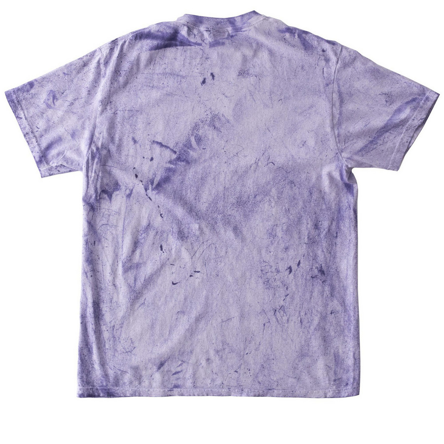 Christ's Chapel Church Merch, a Amethyst Comfort Colors Colorblast Tee (back-view)