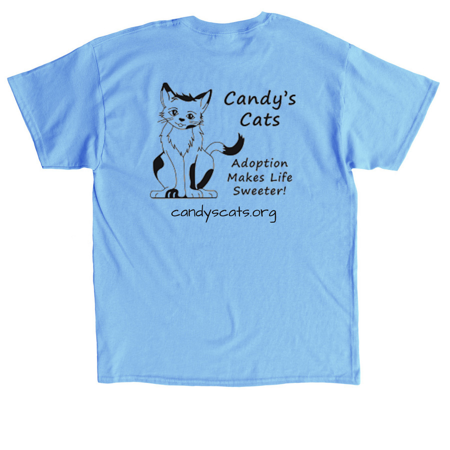 T-Shirts, a Carolina Blue Classic Unisex Tee (back-view)