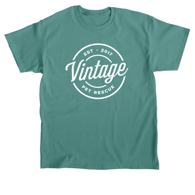 VPR Merch Spring Colors&nbsp;, a Jade Dome Classic Unisex Tee