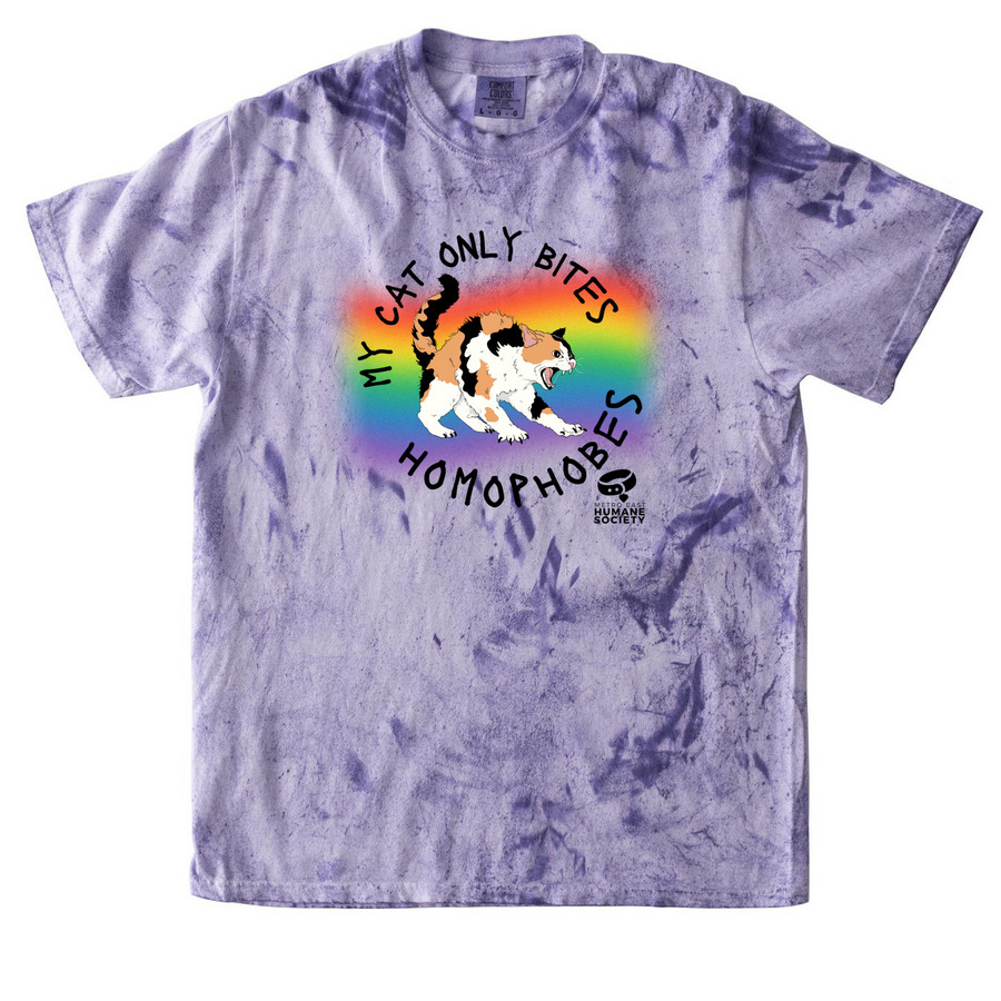 Pride 2024 - Beware of Cat, a Amethyst Comfort Colors Colorblast Tee
