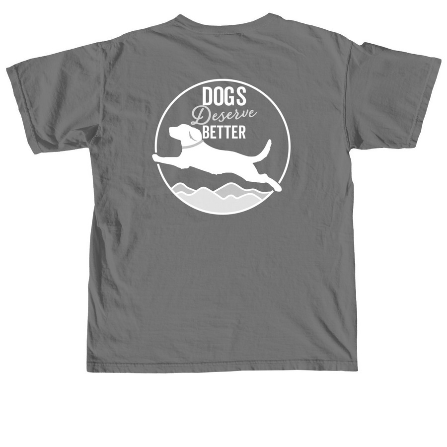 Front & Back Logo (Adult), a Grey Comfort Colors Unisex Tee (back-view)