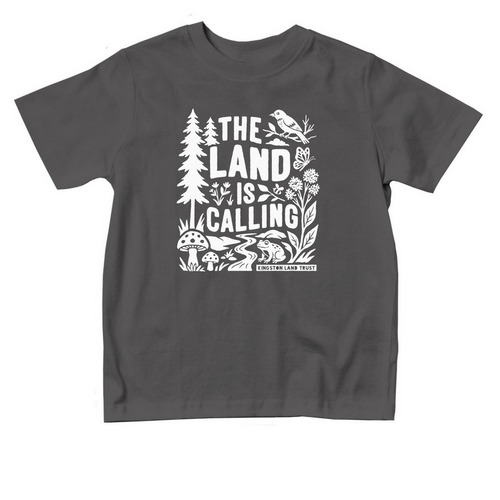 The Land is Calling Toddler Tee, a Charcoal Toddler Tee