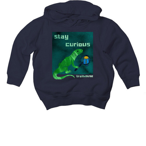 Stay Curious, a Navy Toddler Pullover Hoodie