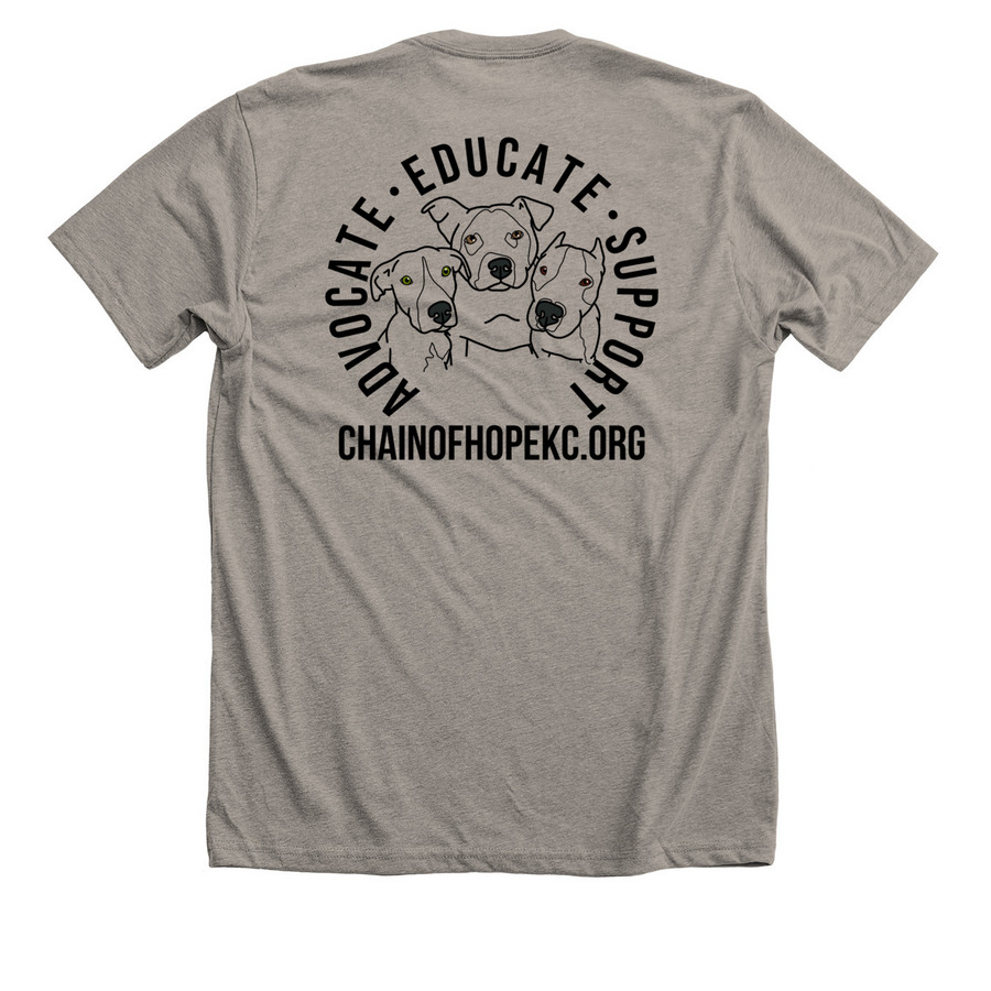 Breaking Chains and Winning Games, a Heather Stone Premium Unisex Tee (back-view)