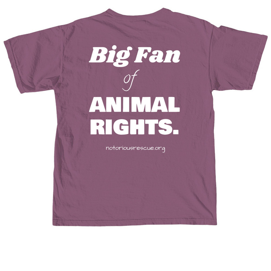 Big Fan Of Animal Rights Tee, a Berry Comfort Colors Unisex Tee (back-view)