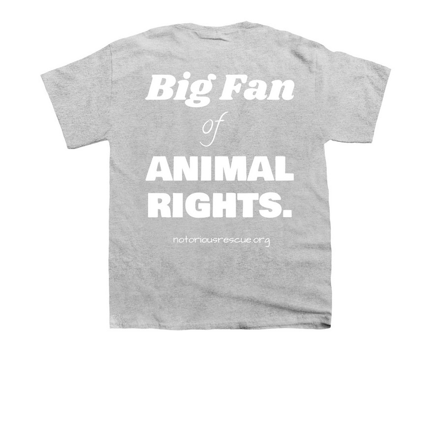 Big Fan Of Animal Rights Tee, a Sport Grey Youth Unisex Tee (back-view)