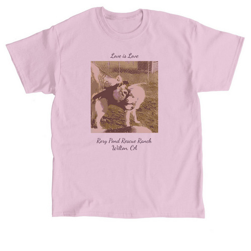 Love Is Love, a Light Pink Classic Unisex Tee
