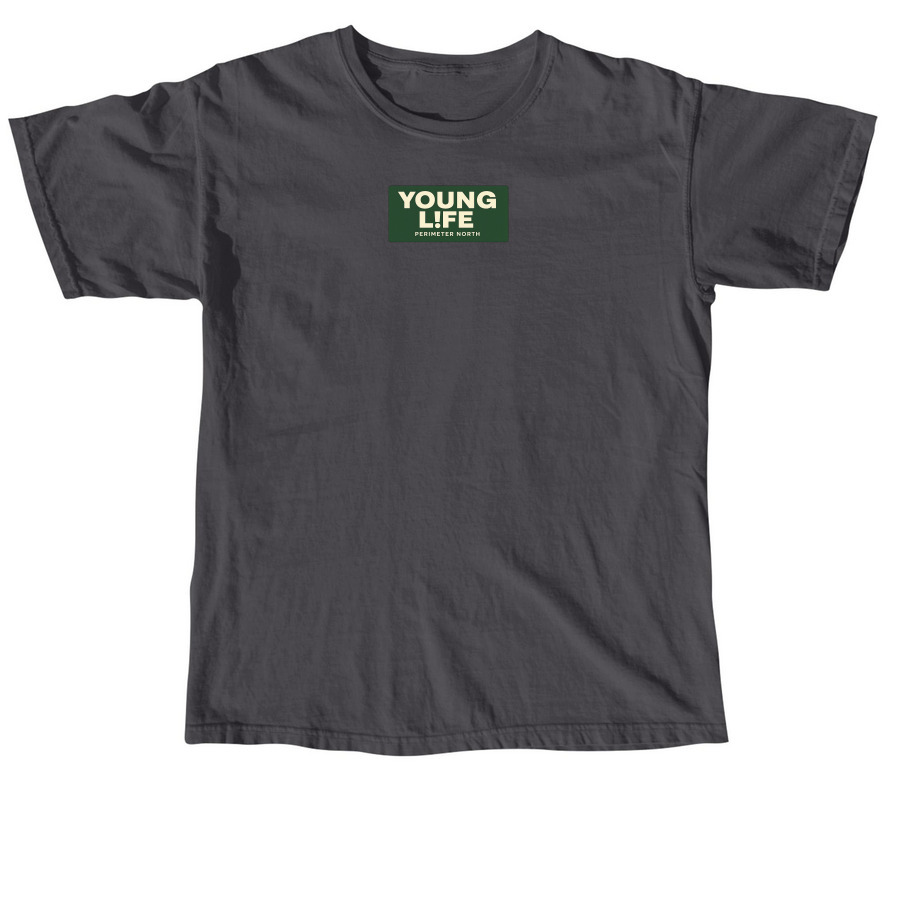 PNYL Campership Campaign Design 1, a Graphite Comfort Colors Unisex Tee