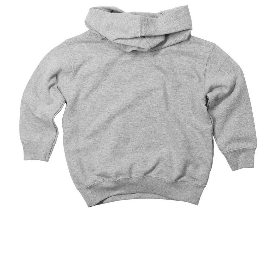 Toddler Pullover Hoodie (Color Logo), a Heather Toddler Pullover Hoodie (back-view)