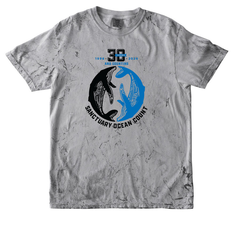 2026 Sanctuary Ocean Count, a Smoke Comfort Colors Colorblast Tee
