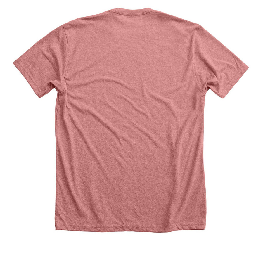 MTAE Merch, a Heather Mauve Premium Unisex Tee (back-view)