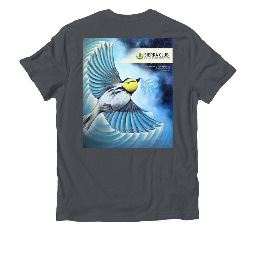 A Golden-Cheeked Future, a Terrain Grey Allmade Organic Cotton Unisex Tee (back-view)