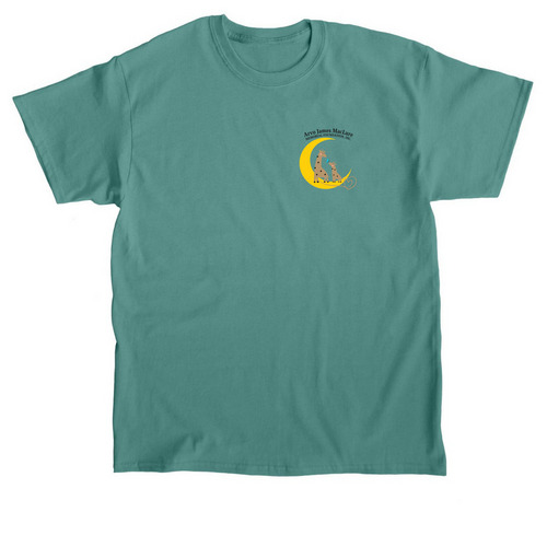 2026 Arvo's Library Fundraiser, a Jade Dome Classic Unisex Tee