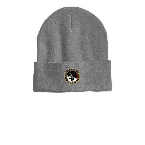 JTF-Gold Beanie, a Dark Heather Grey Printed Cuffed Beanie
