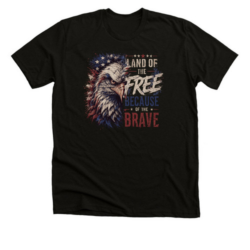 Land of the Free, a Black Heather Premium Unisex Tee