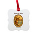 Coalition to Save Catalina Island Deer, a White Aluminum Square Ornament