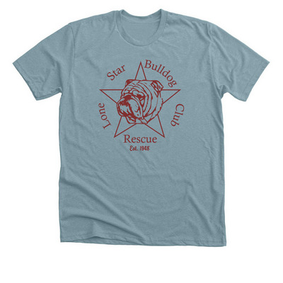 Serving up second chances, a Heather Blue Lagoon Premium Unisex Tee