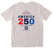 WIT AMERICA 250, a Ice Grey Softstyle Cotton Tee (back-view)