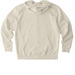 2026 Official KDA Conference Hoodies, a Natural Raw Stanley/Stella Unisex Cultivator 2.0 Zip Up Pullover Hoodie (back-view)