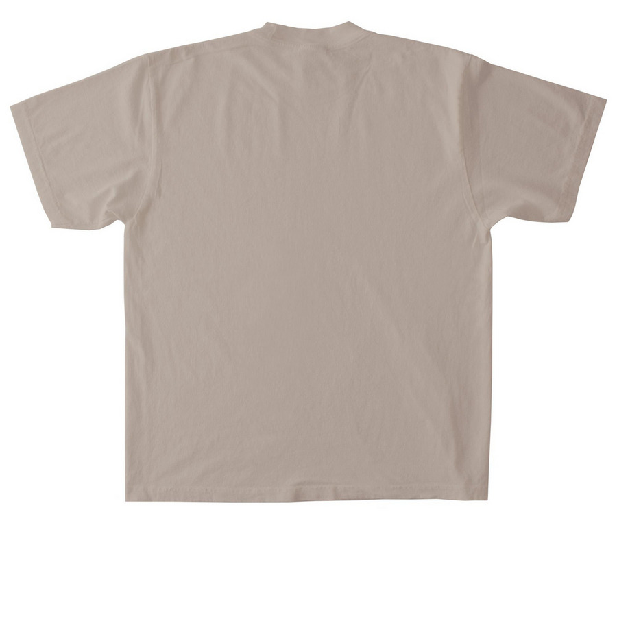 AUMC Basic Tee, a Oatmeal Heavyweight Garment Dye Tee (back-view)