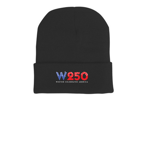 Beanies, a Black Printed Cuffed Beanie