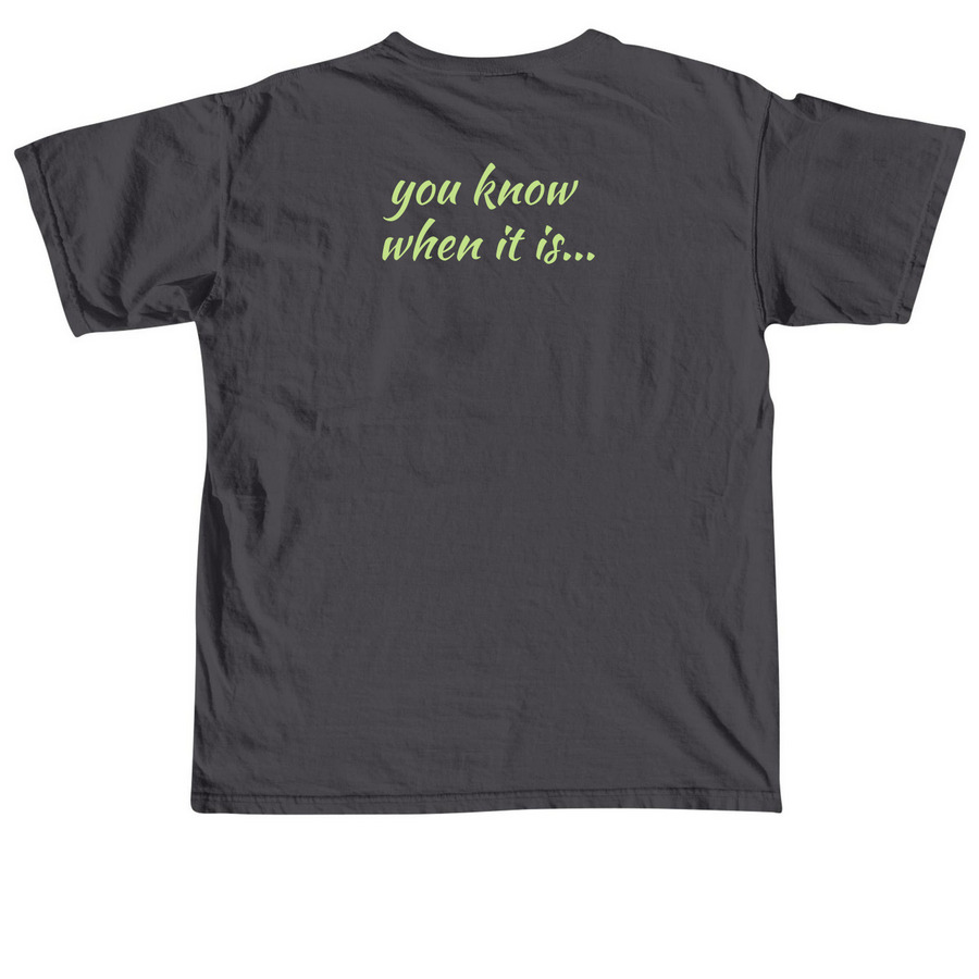 Hollern Family Reunion, a Graphite Comfort Colors Unisex Tee (back-view)