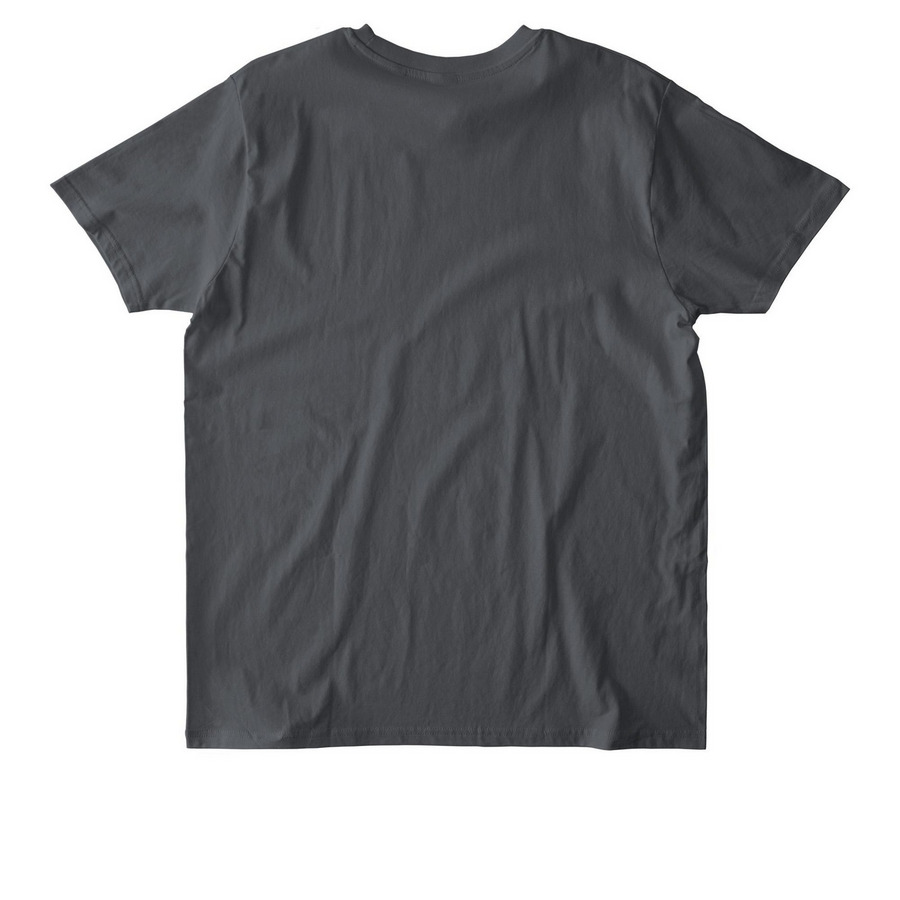 Apex Eagles | One Team. One Nest., a Anthracite Stanley/Stella Unisex Rocker Tee (back-view)