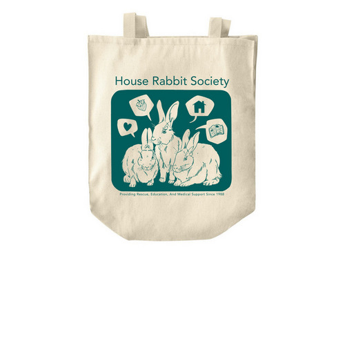 HRS Sanderson Sisters Tote, a Natural Over-the-Shoulder Shopping Tote Bag