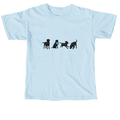 Ozzie Personality T-Shirt, a Chambray Comfort Colors Unisex Tee