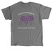 Great Strides DC - 2026, a Charcoal Classic Unisex Tee