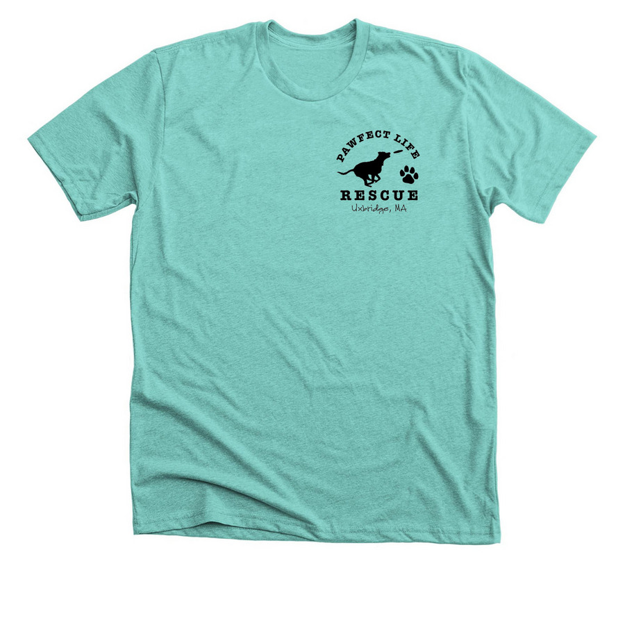 Be Cool. Adopt, Don't Shop!, a Heather Sea Green Premium Unisex Tee