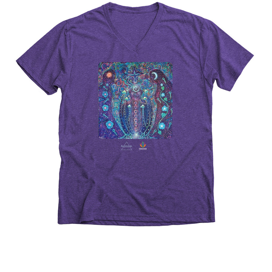 Kj?a?seen-Spiritual Enlightenment, a Purple Rush Premium V-Neck Tee