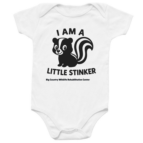 Little Stinker Onesie, a White Infant Onesie