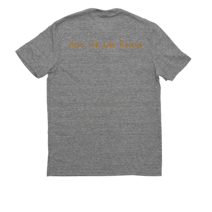 The Wrong Daisy, a Aluminum Grey Allmade Eco Triblend Unisex Tee (back-view)