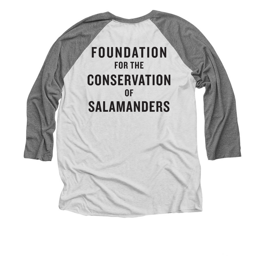 2025&nbsp;Salamander Stroll Virtual 5k Front Piece, a Premium Heather and Heather White 3/4 Sleeve Baseball Tee (back-view)