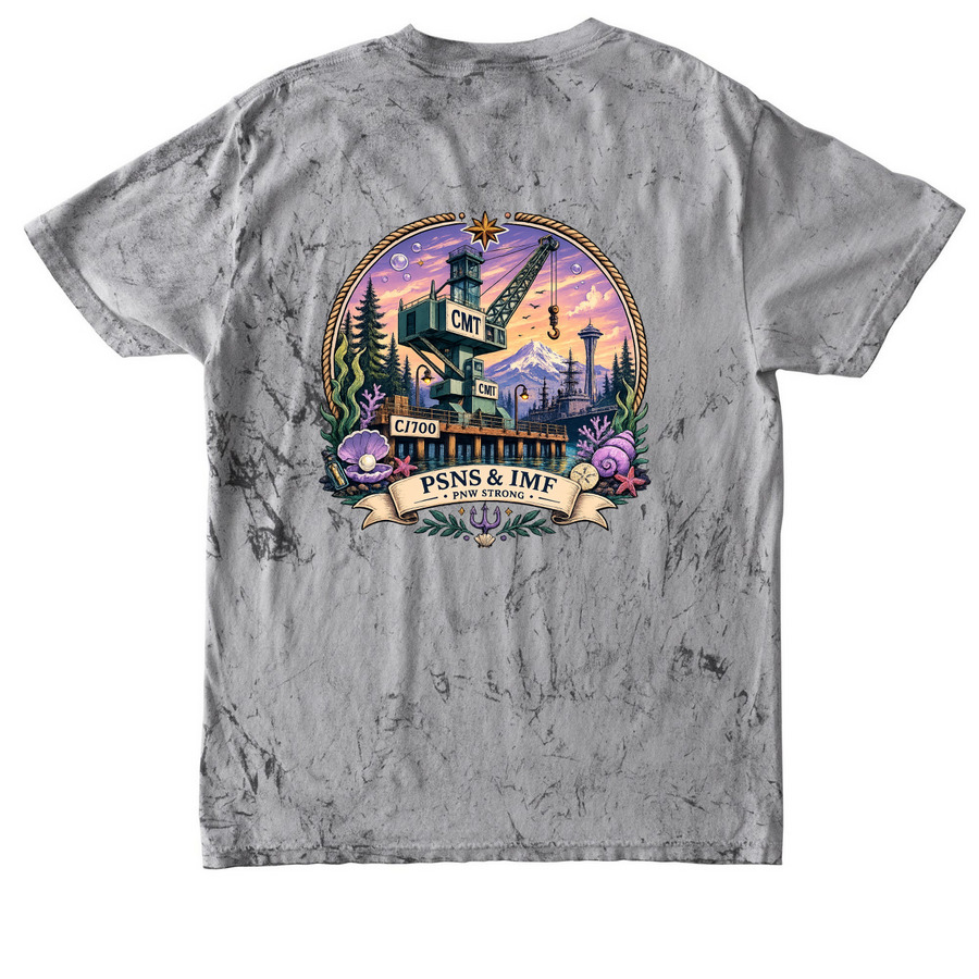 2026 C/700 CMT&nbsp;, a Smoke Comfort Colors Colorblast Tee (back-view)
